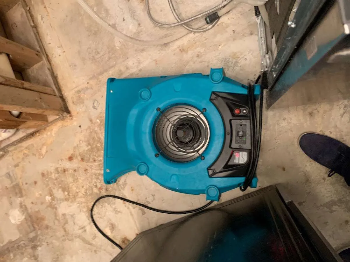 Air mover drying equipment for Mold Remediation & Removal in Arnold